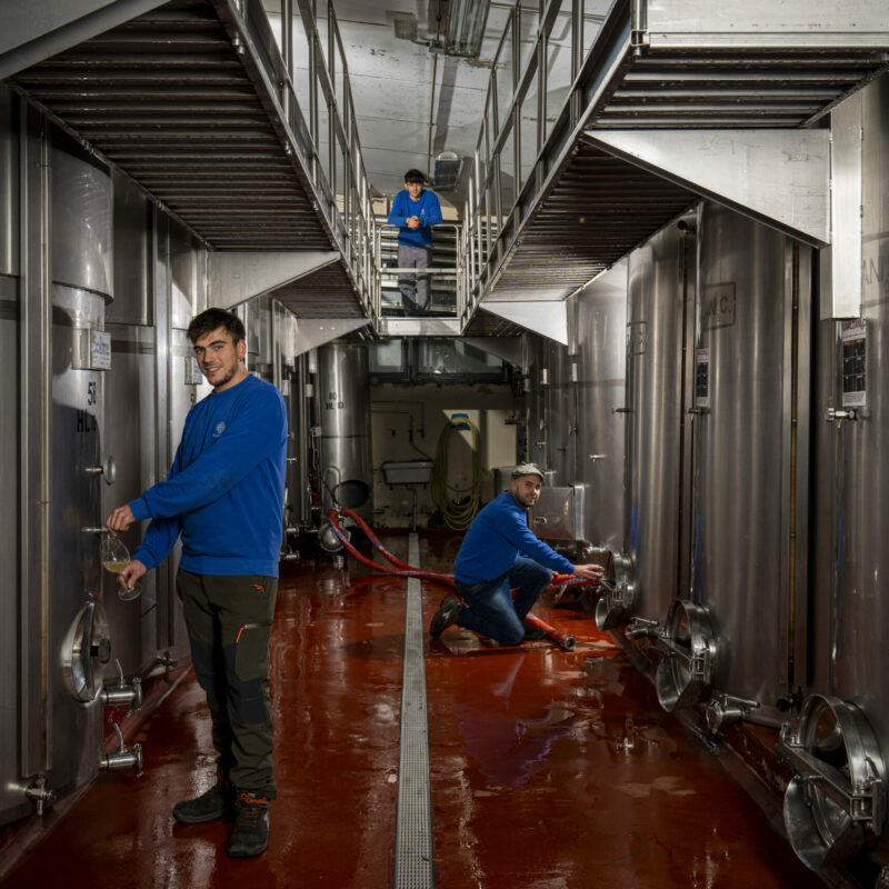 Cellar Tour & Sunday Lunch