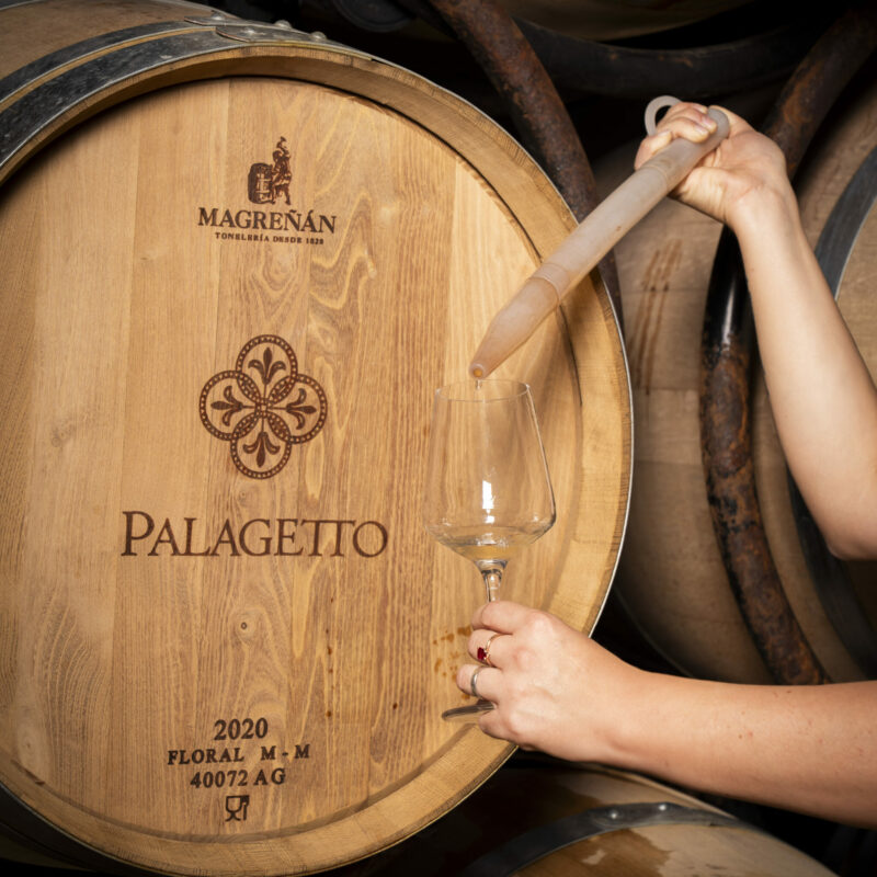 The Shades of Vernaccia di San Gimignano