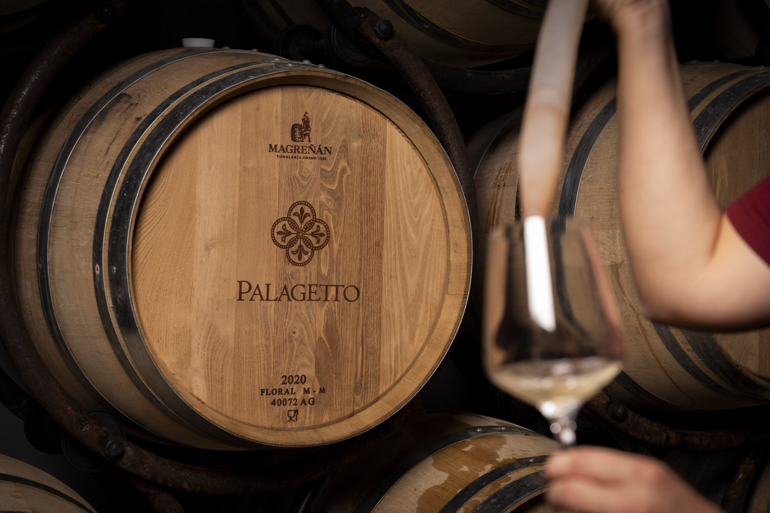 The Shades of Vernaccia di San Gimignano - Image 2