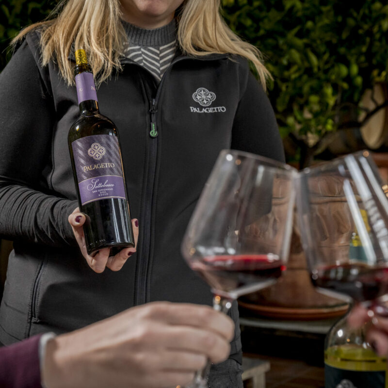 “Ad Hoc di San Gimignano” Wine Tasting