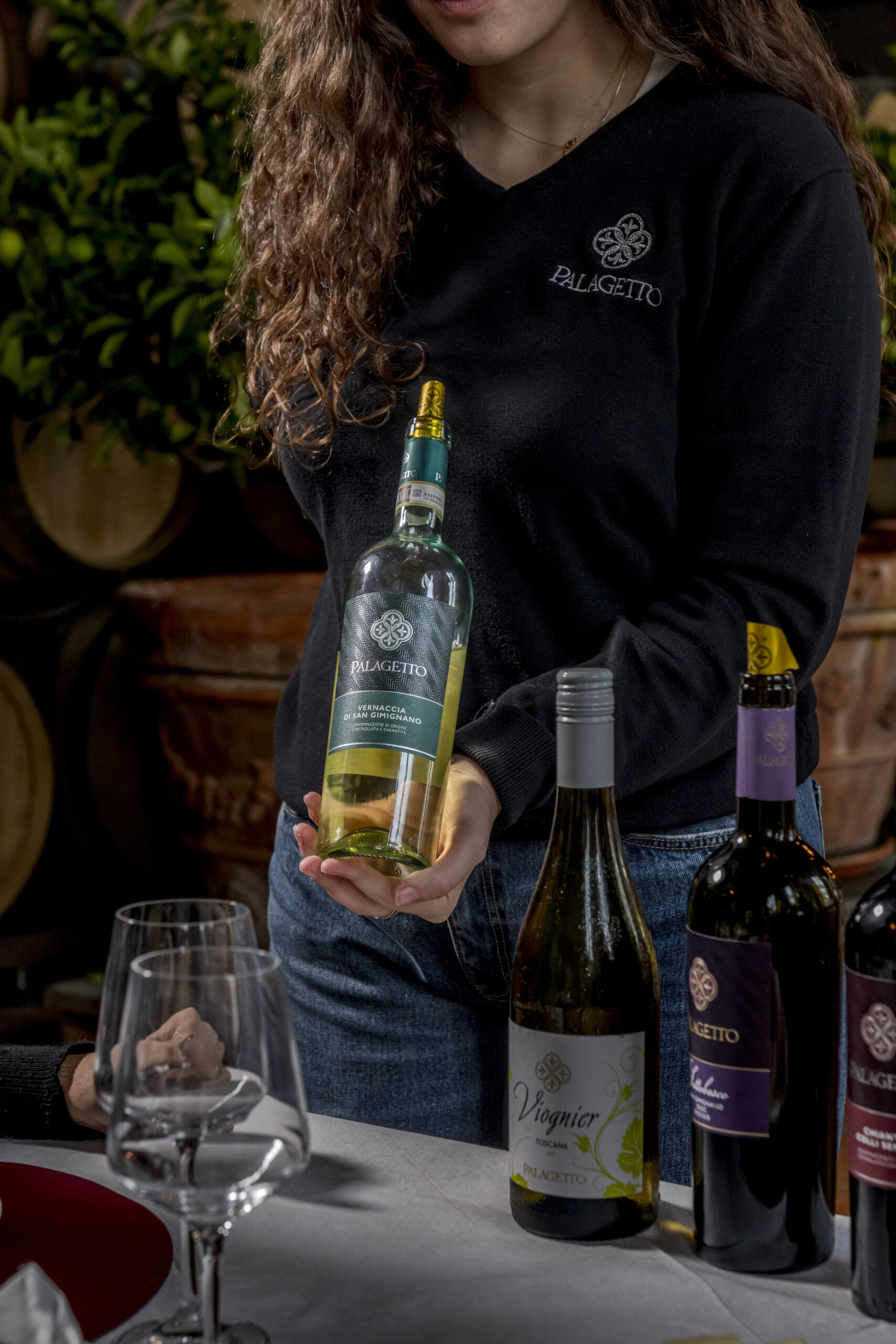 Palagetto Wine Tasting - Image 5