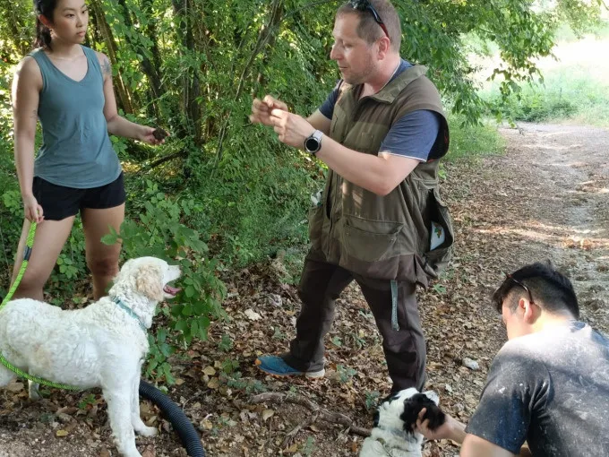Truffle Hunt & Wine Lunch - Image 3