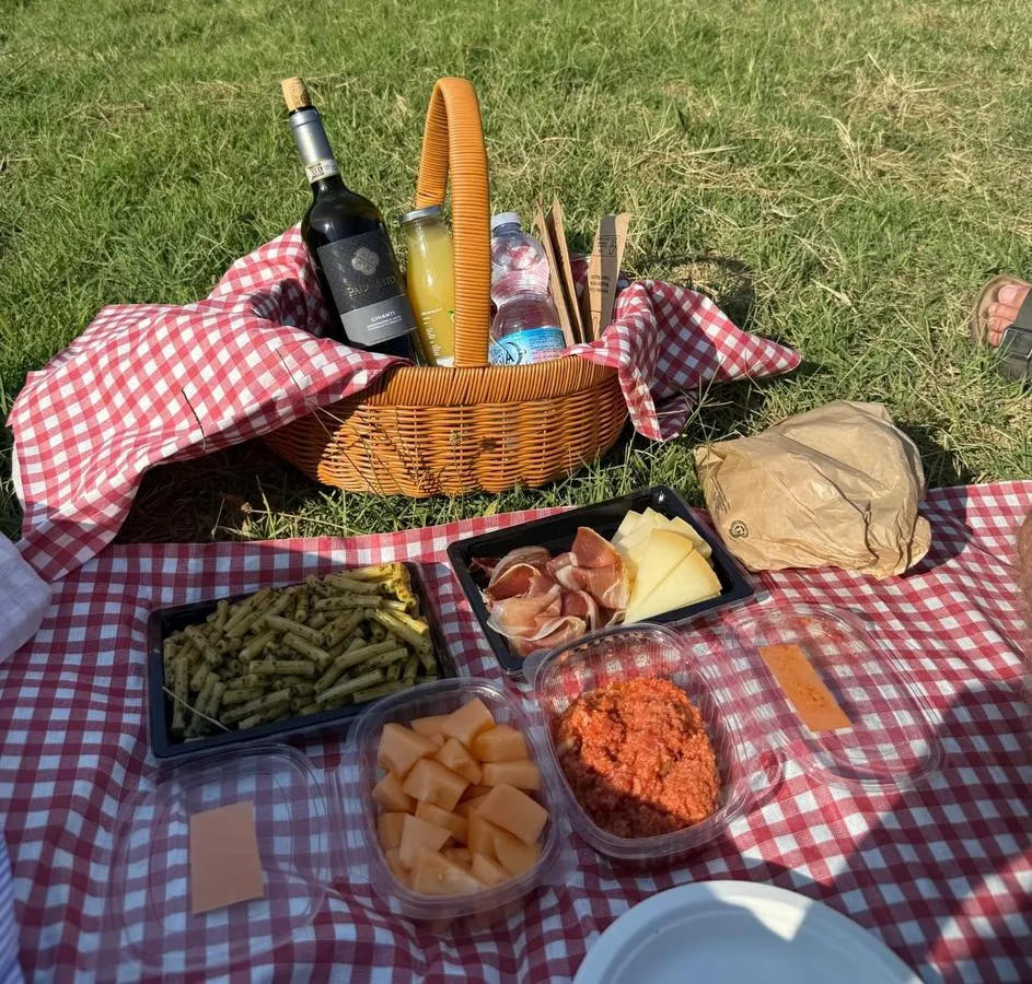 Picnic Among the Vines - Image 2