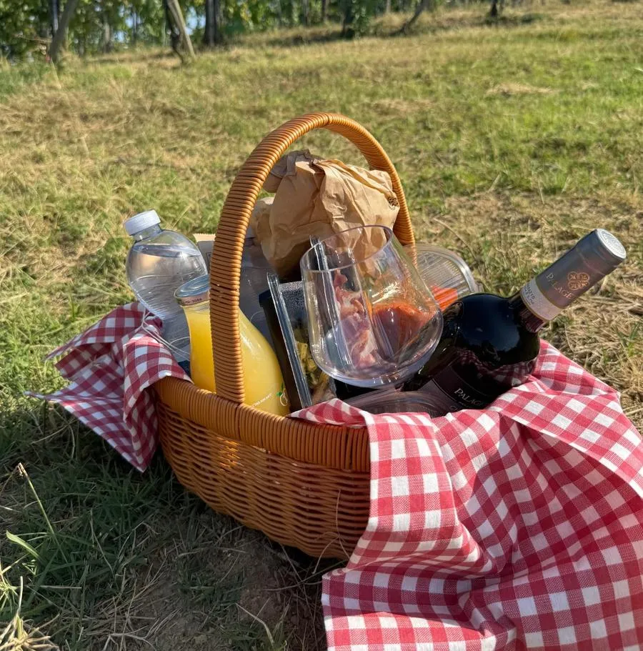 Picnic Among the Vines - Image 3