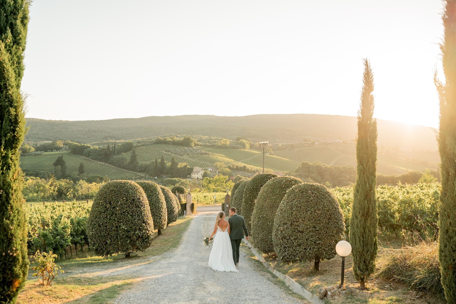 imgi_23_92901E8A-B564-4F26-8F52-28AC0A6BF947-1