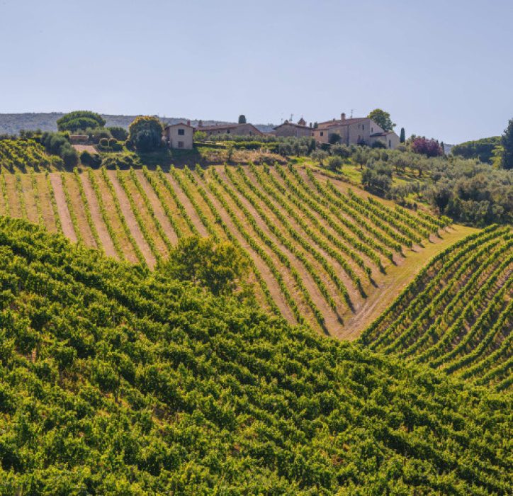 azienda-agricola-palagetto-146-1751636188